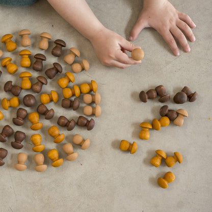 Mandala Mushrooms - 36 Pieces