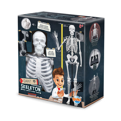 GIANT SKELETON 85CM