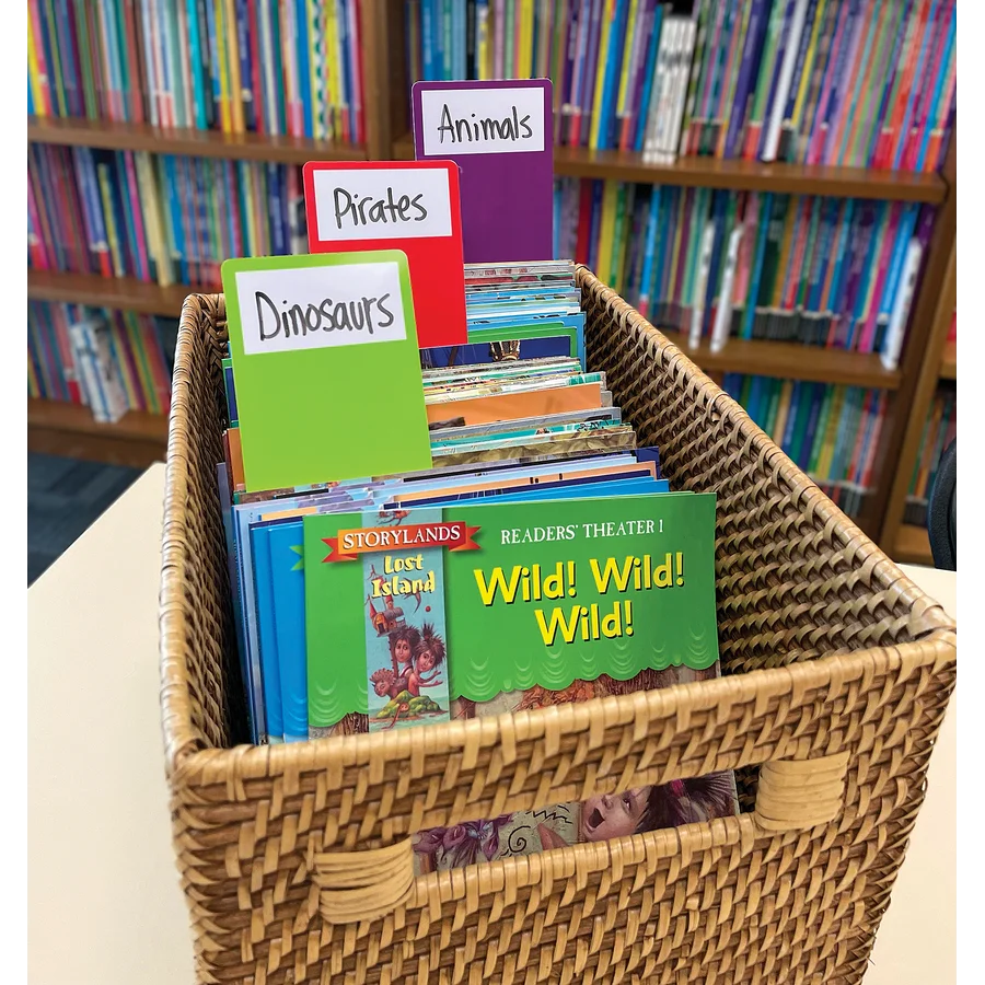 Library Book Dividers