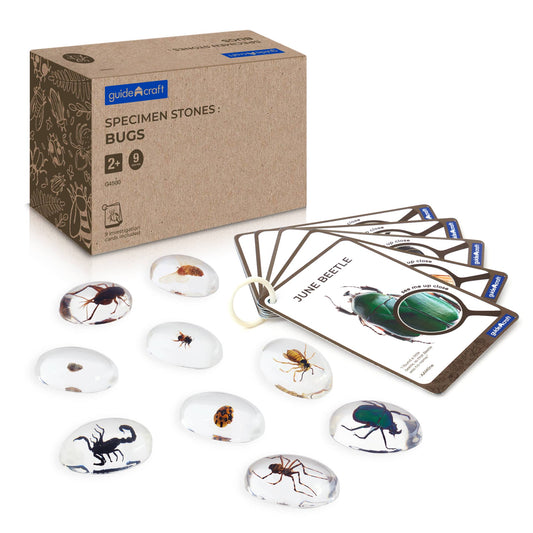 Specimen Stones- Bugs (9 Stones & 9 Cards)