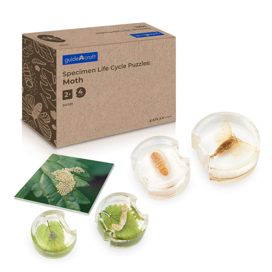 Specimen Life Cycle Puzzles - Moth