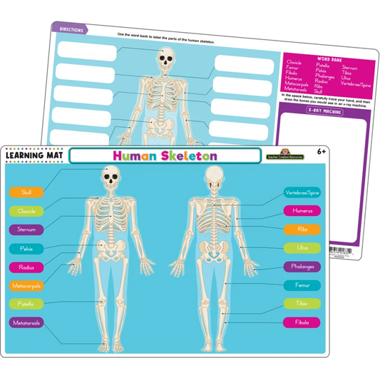 Human Skeleton Learning Mat