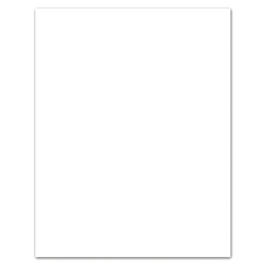 4-Ply Bristol Board- White (22"x 28"- 48 Sheets)