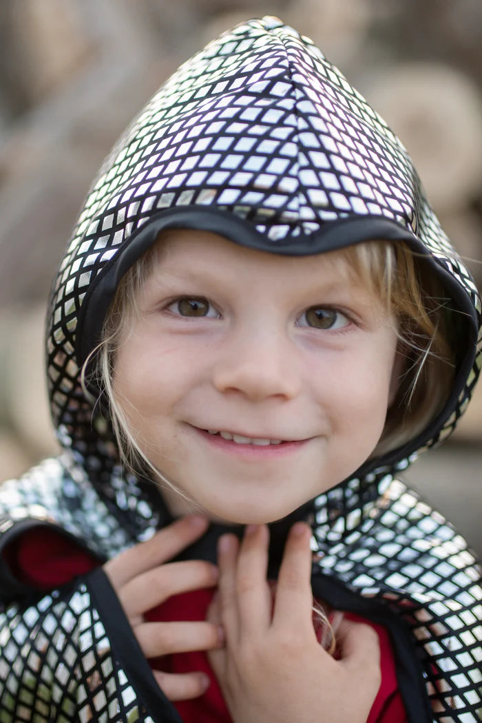 Reversible Dragon Knight Cape Costume