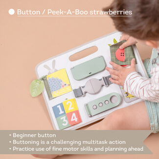 Activity Buckles Board