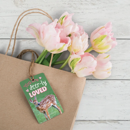 Go Wild Animals Encouragement Cards