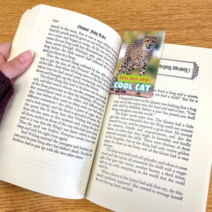 Go Wild Animals Encouragement Cards