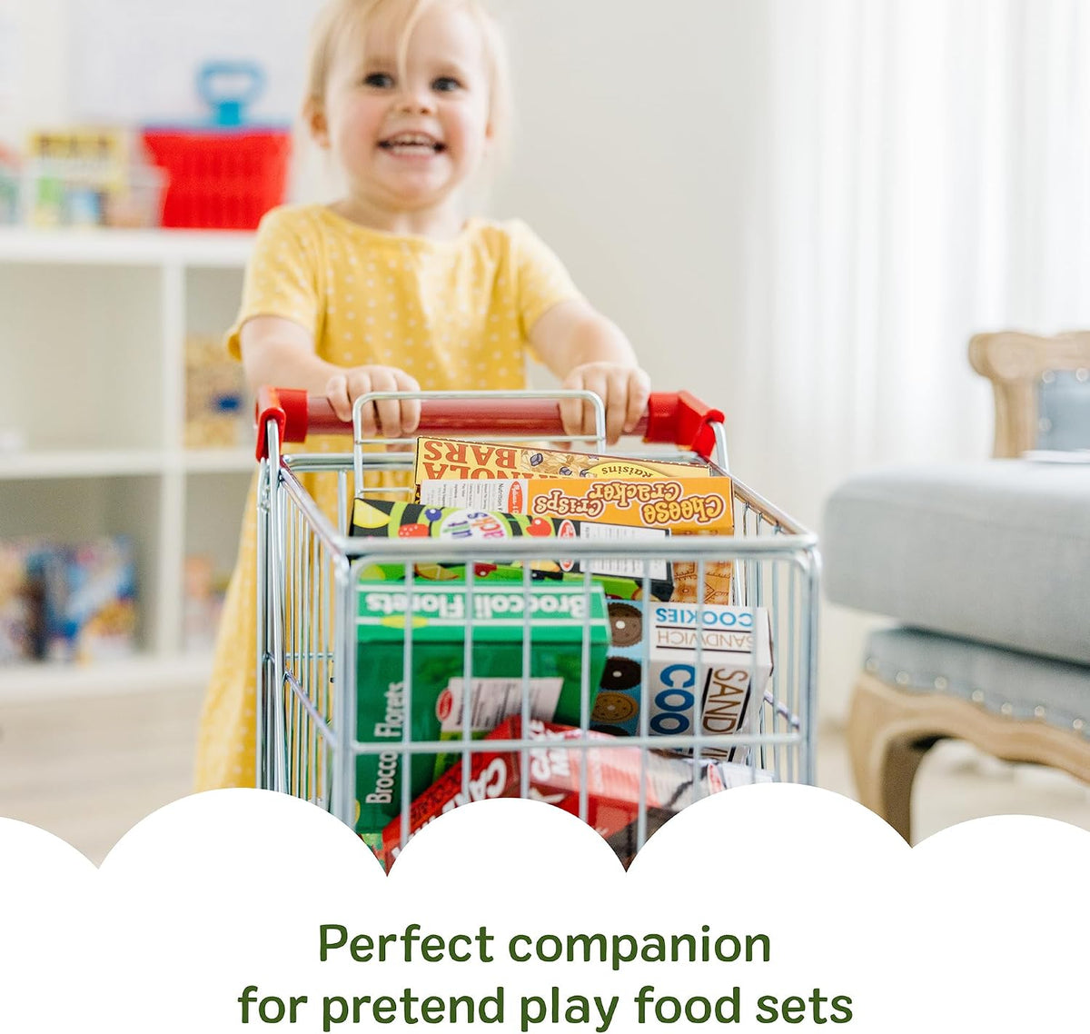 Shopping Cart Toy