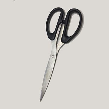 8" Scissors- (1 pc)