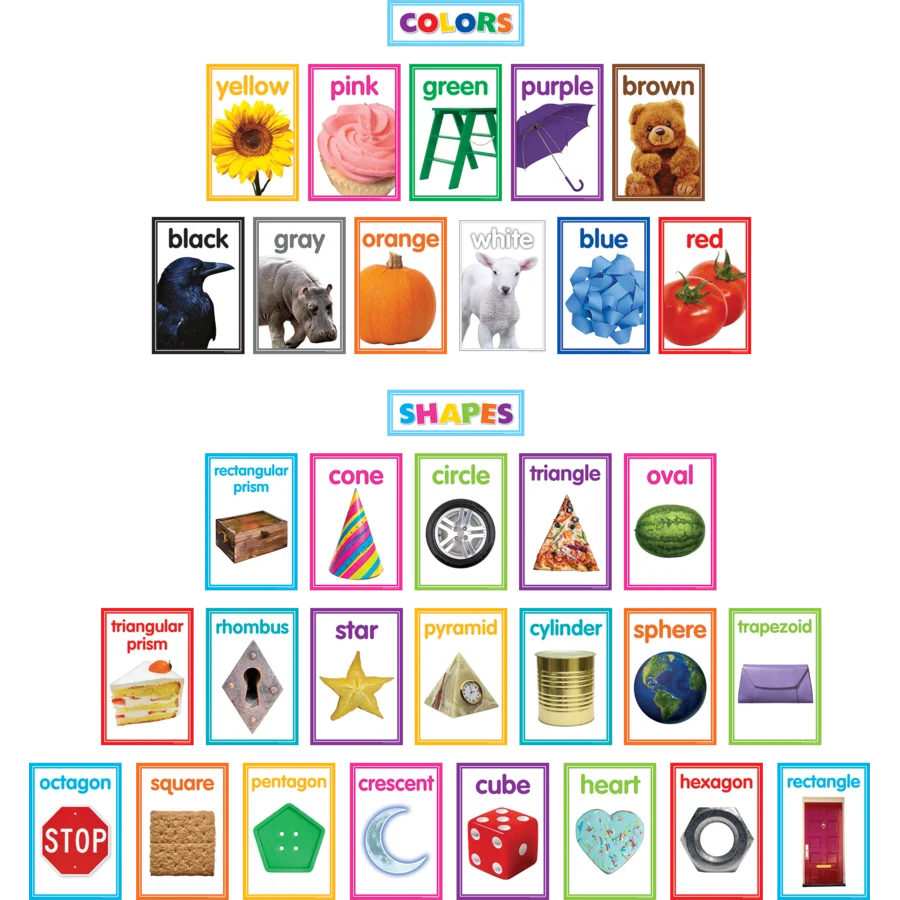 Colorful Photo Shapes & Colors Cards Bulletin Board