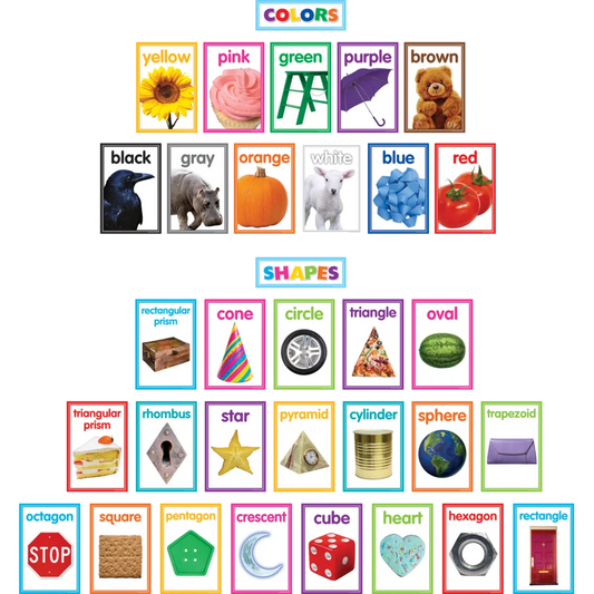 Colorful Photo Shapes & Colors Cards Bulletin Board