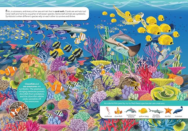 National Geographic Kids: Discover Animals Look and Find