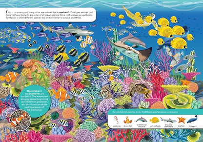 National Geographic Kids: Discover Animals Look and Find