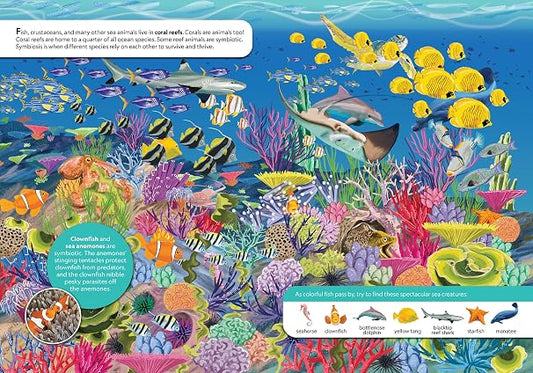 National Geographic Kids: Discover Animals Look and Find
