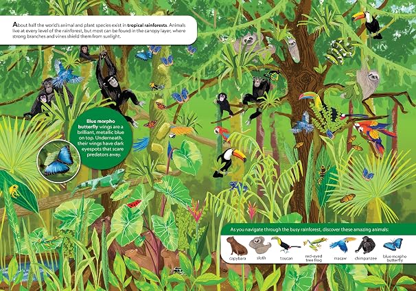 National Geographic Kids: Discover Animals Look and Find