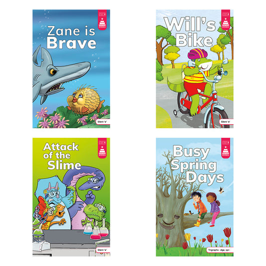 Stairway Decodables Step 4 - Set of 12 Books