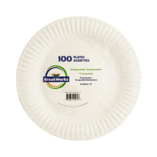Paper Plates - Pack of 100 - Biodegradable