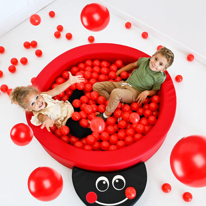 Ladybug Climber Set