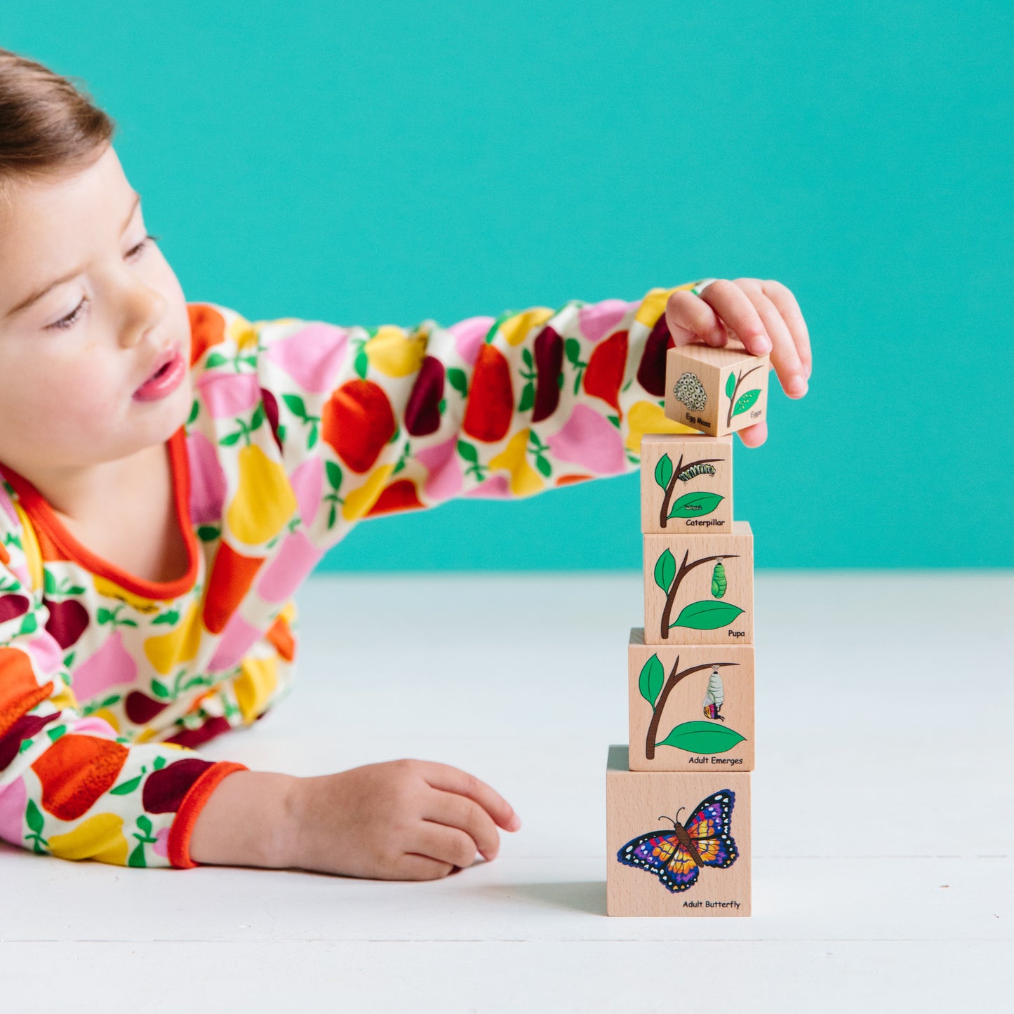 Lifecycle Wooden Blocks- Set of 5