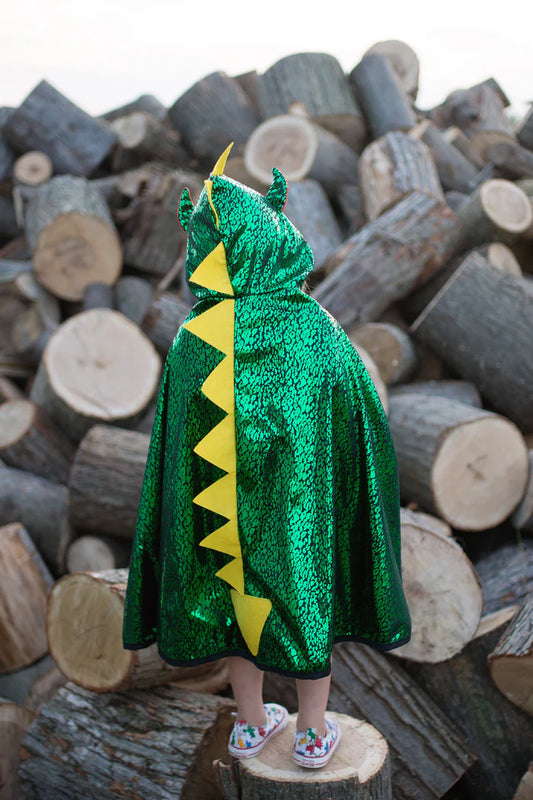 Reversible Dragon Knight Cape Costume