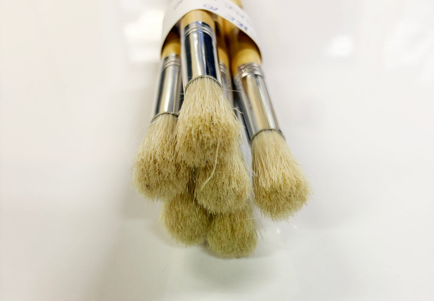 Brushes - Size 10 - Pack of 6
