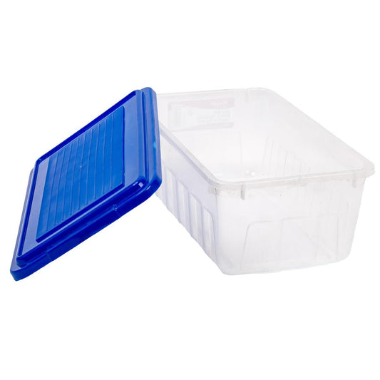 Shoe Box Single