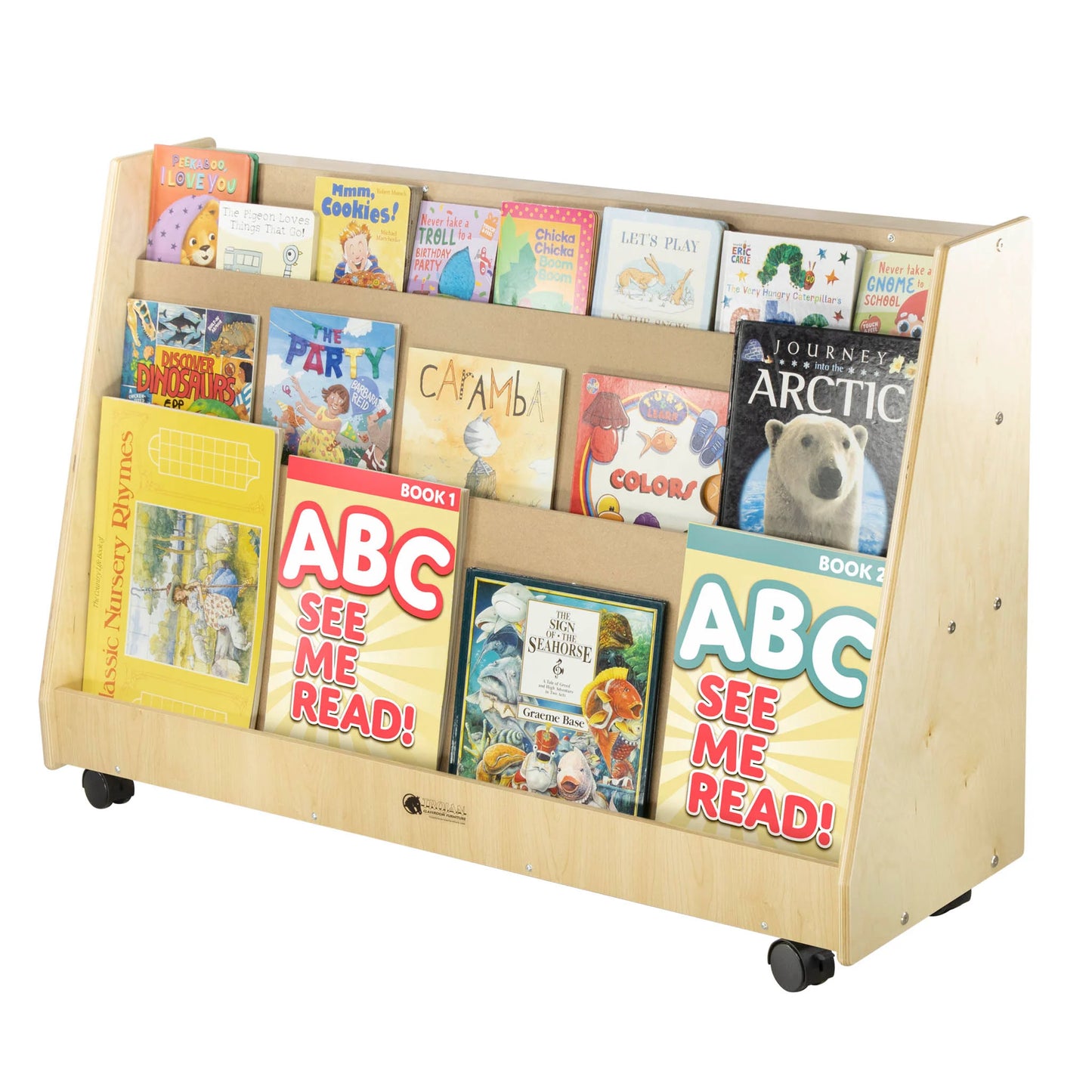Slanted Bookshelf with 2 Rear Shelves