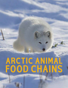 Arctic Animal Food Chains (English Edition)