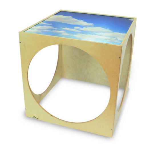 Acrylic Top Play House Cube