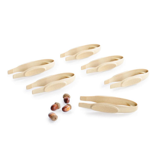 All-Weather Jumbo Tweezers Set of 6