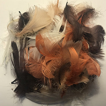 Assorted Autumn Colour Feathers