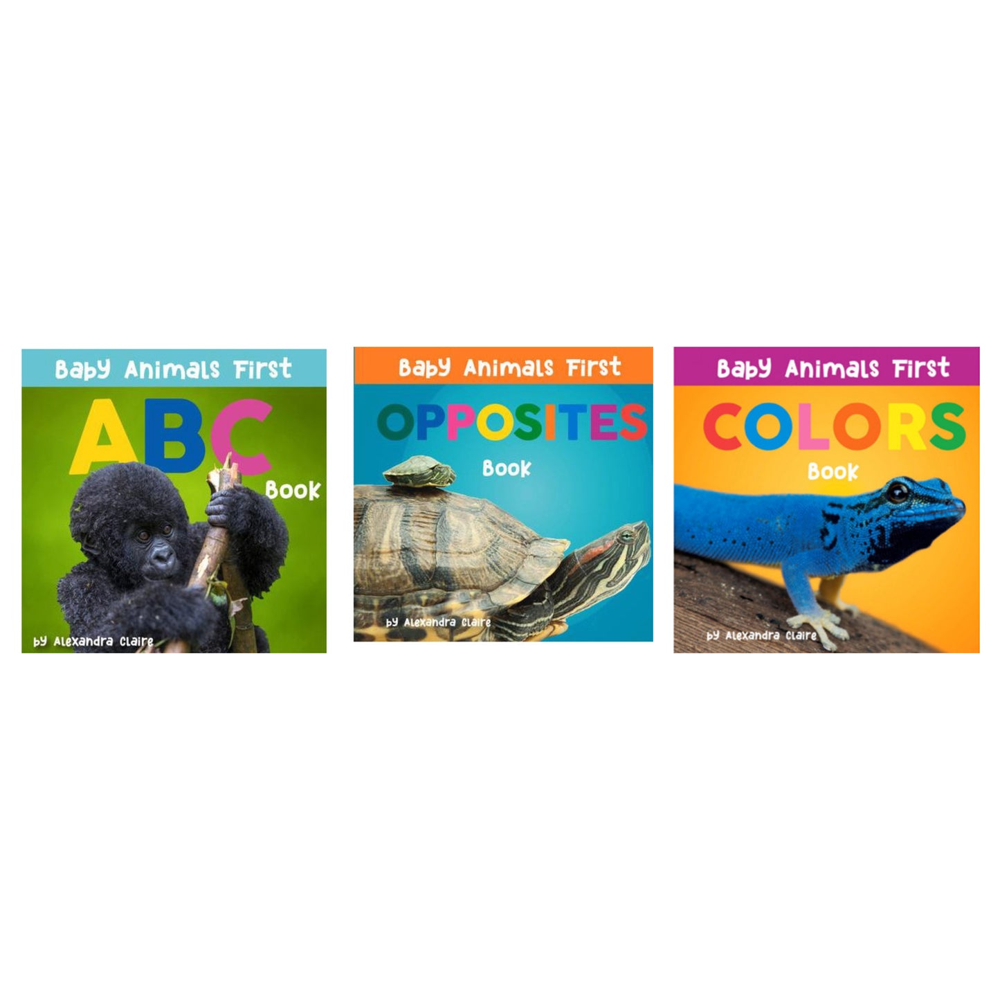 Baby Animals First Book Series
