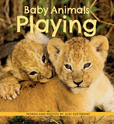 Baby Animals (series)