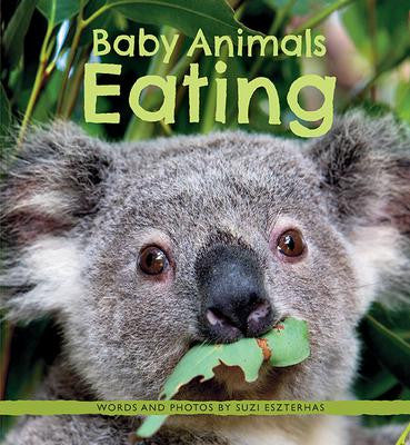 Baby Animals (series)