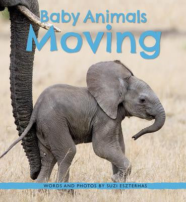 Baby Animals (series)