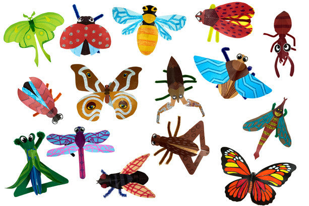 Beautiful Bugs