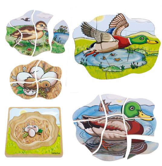 Beleduc 5 Layer Lifecycle Puzzle