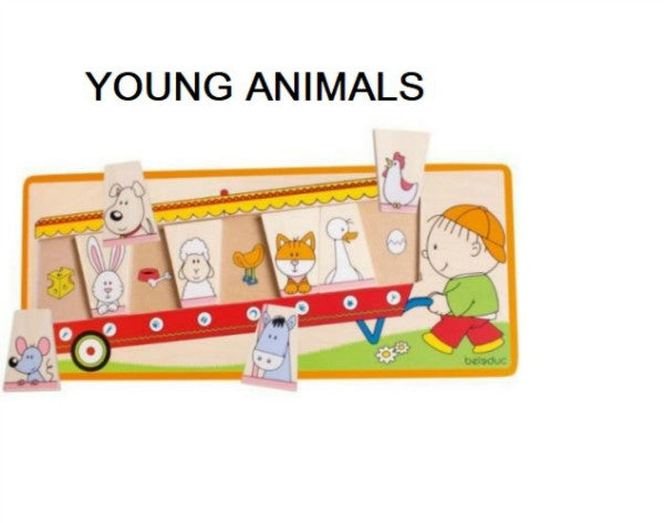 Beleduc Matching Puzzle