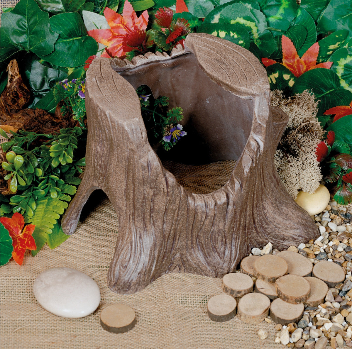 Cave or Tree Stump