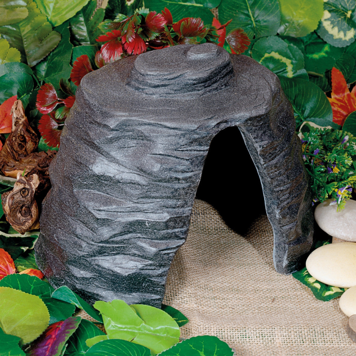 Cave or Tree Stump