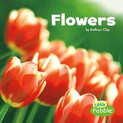 Celebrate Spring Series