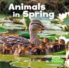 Celebrate Spring Series