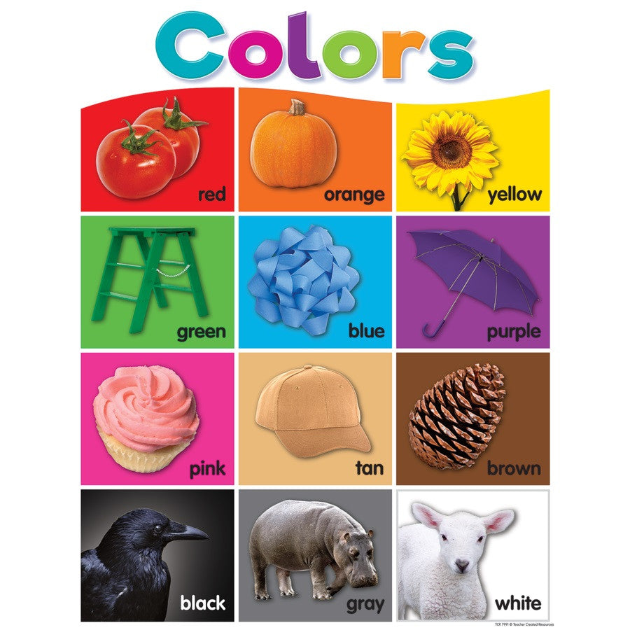Nuancier de couleurs vives