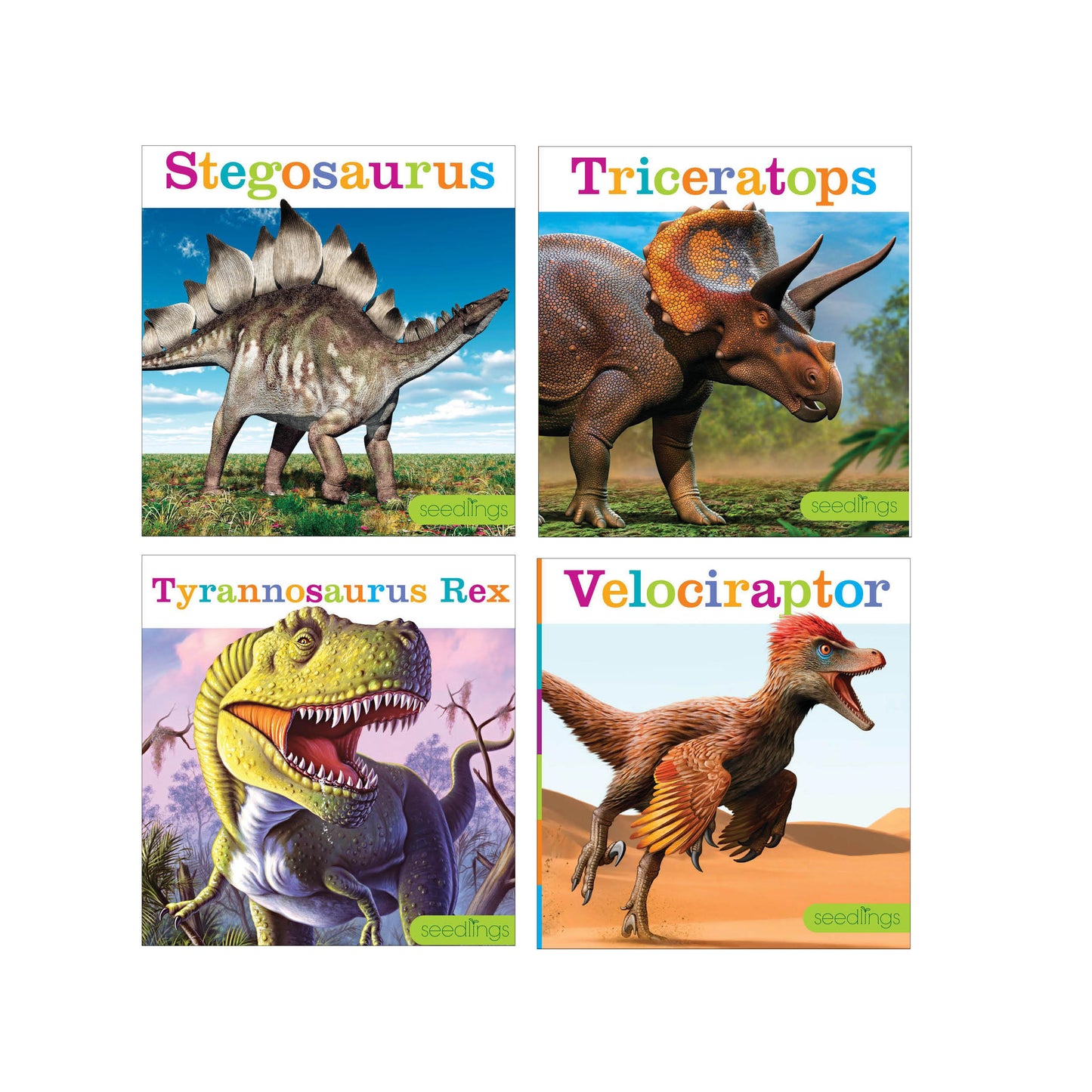 Dinosaurs - Set Of 4 Books