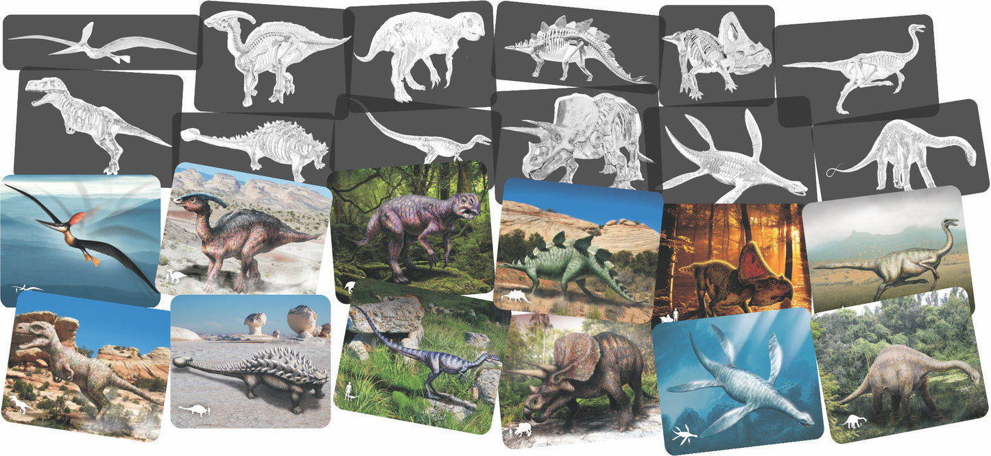 Discover Dinosaurs Picture Cards & X-Rays