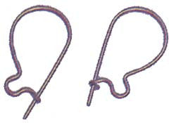 Earring Hooks