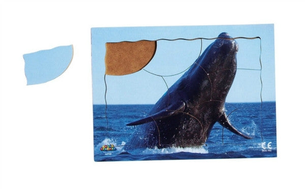 Endangered Animals Series 2