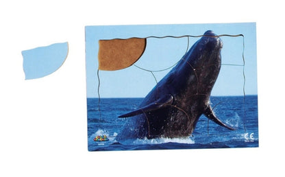 Endangered Animals Series 2