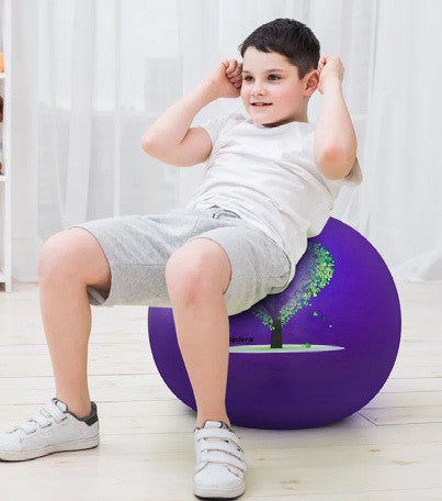 Exercise Ball with Sand Inside- Purple