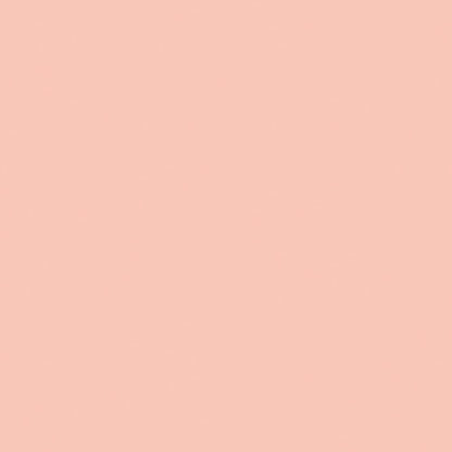 Papier Tableau d'Affichage Sucre Corail Grand Teint 48"X12"